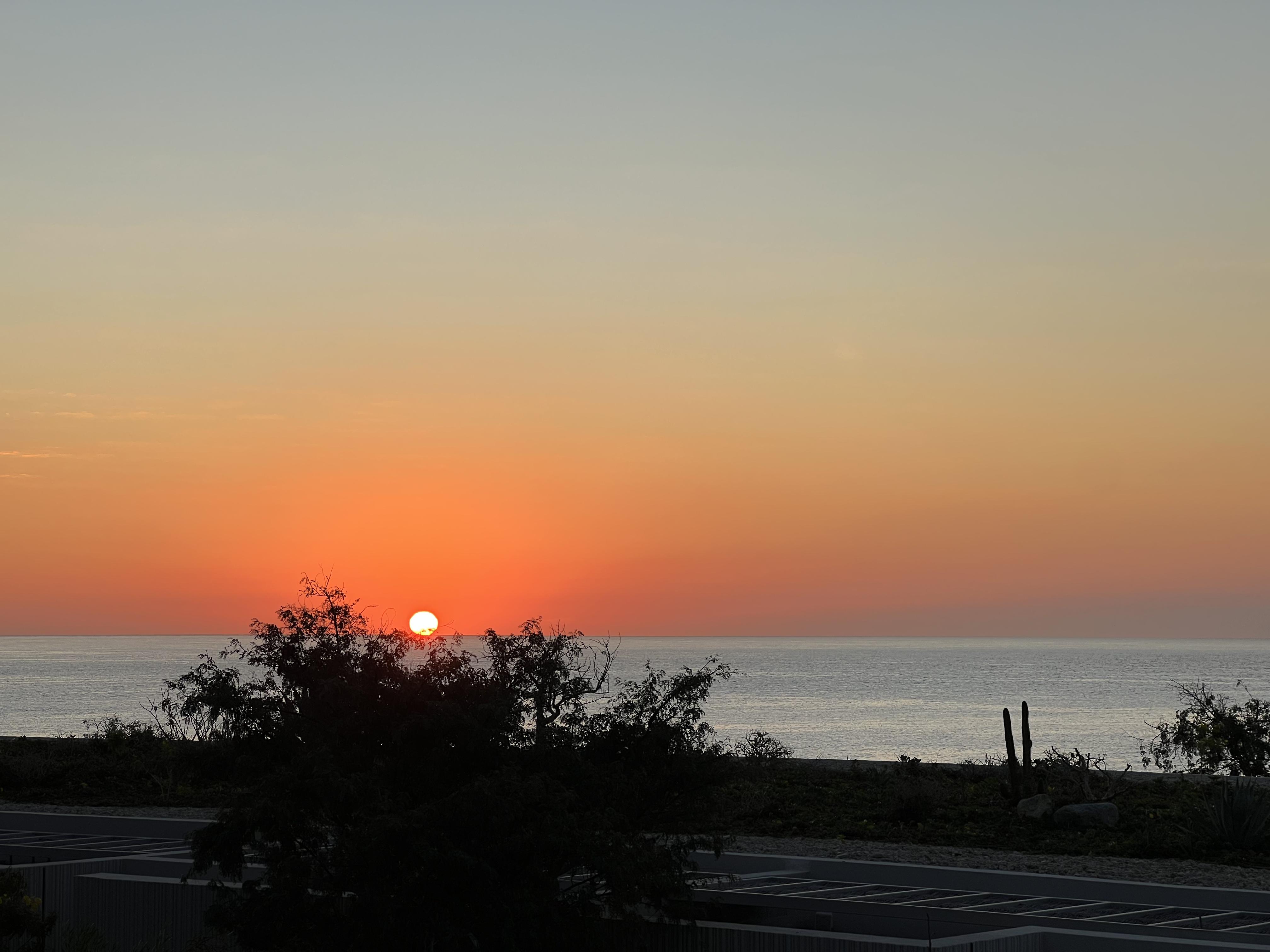 ./2024/13 - Cabo/IMG_4938.jpg